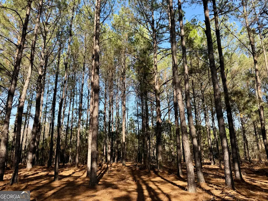 NORTH TRACT 0 Shady Grove Road, Abbeville, GA 31001 - #2