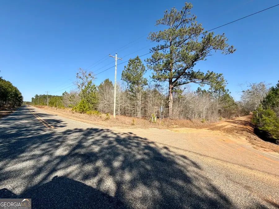 SOUTH TRACT 0 Shady Grove Road, Abbeville, GA 31001 - #3