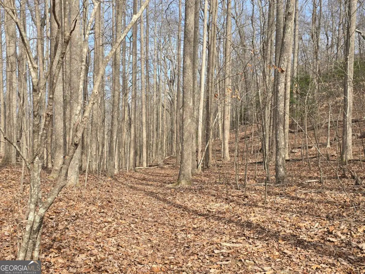 13.75 AC Caesar Gap Road, Hiawassee, GA 30546 - #1