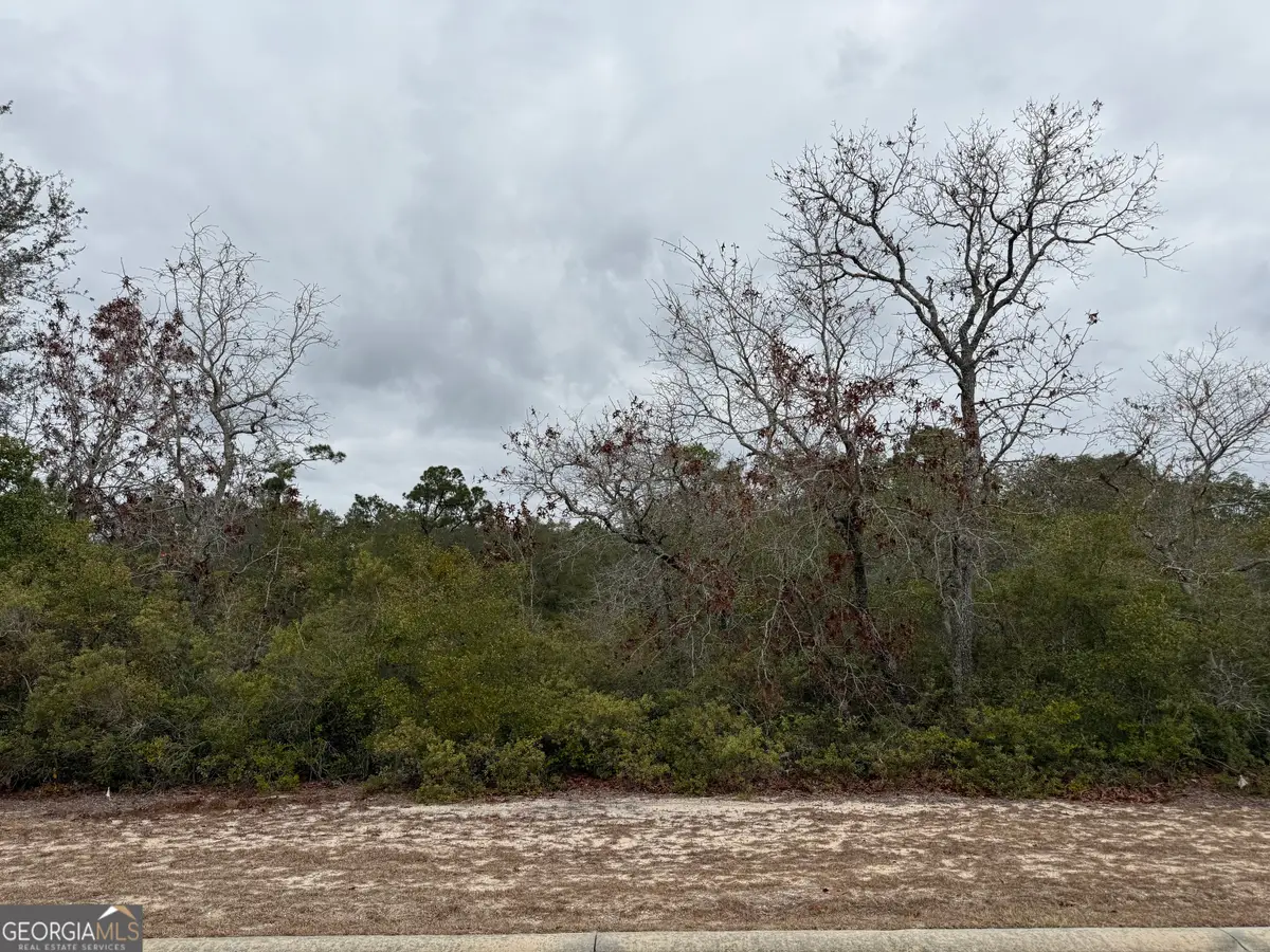 0 Plantation Pines Drive, Blackshear, GA 31516 - #1