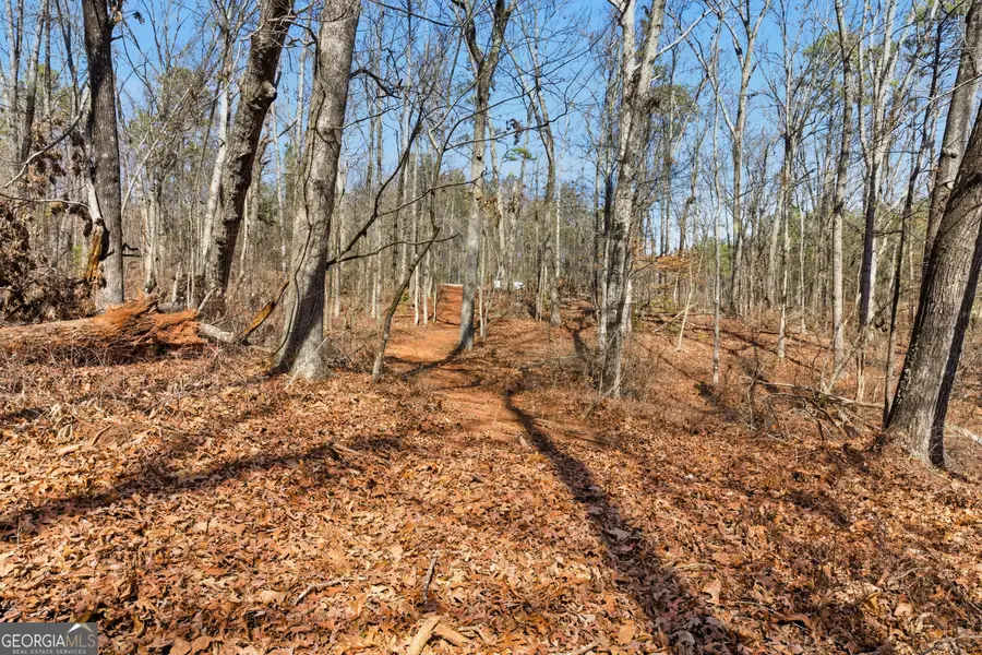 0 Davis Road, Eastanollee, GA 30538 - #2