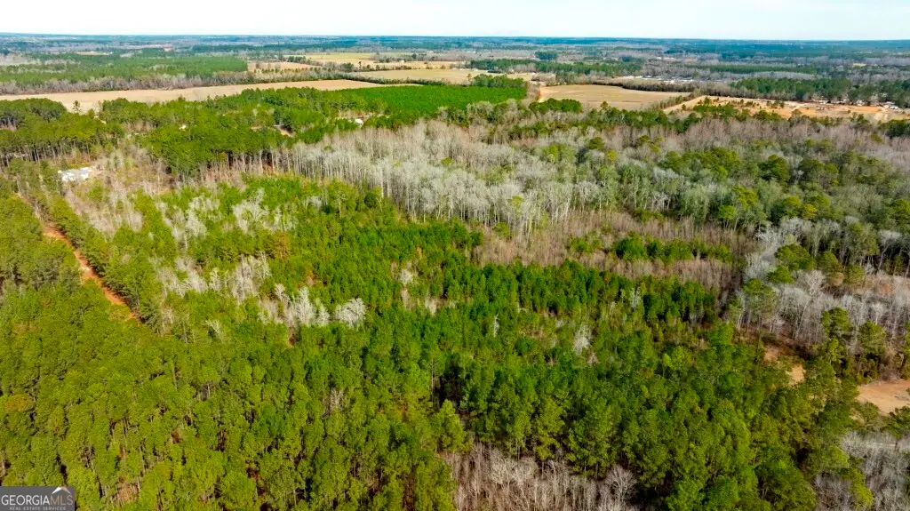 0 RIGGS MILL LA Riggs Mill Lane, Statesboro, GA 30458 - #1