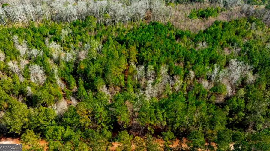 0 RIGGS MILL LA Riggs Mill Lane, Statesboro, GA 30458 - #2