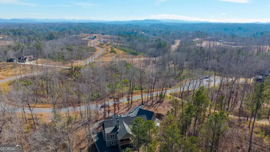 218 Oak Wood Lane #202, Ellijay, GA 30540 - #2