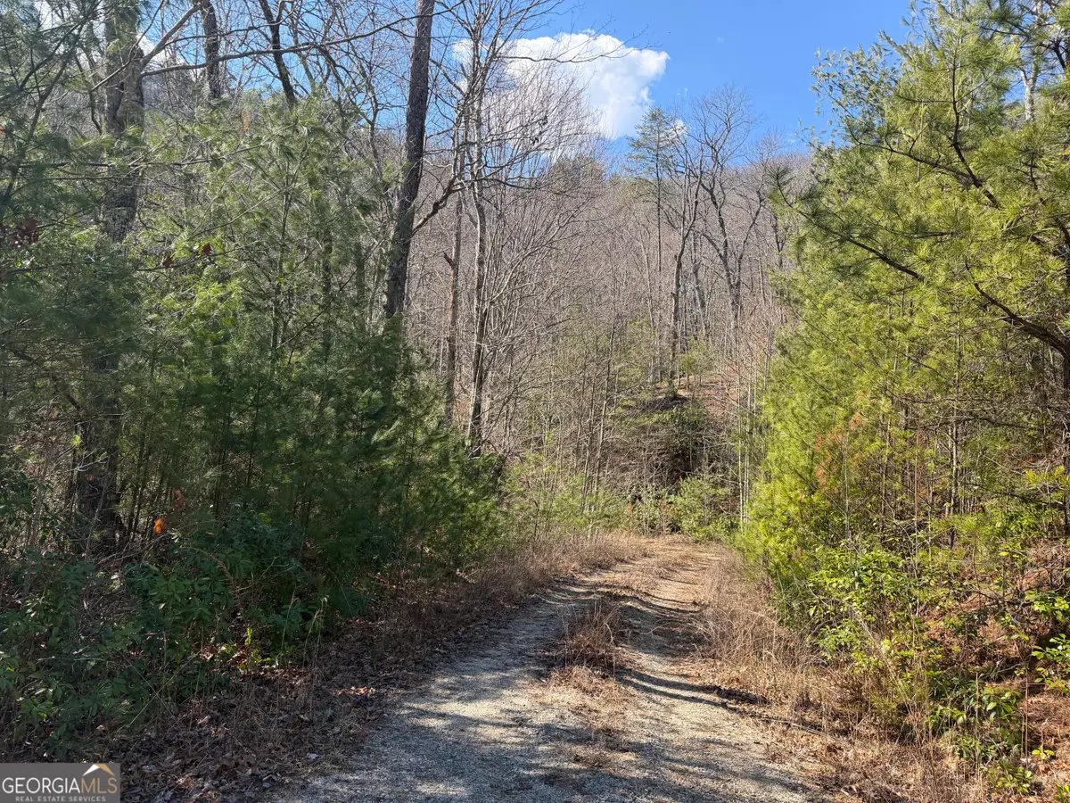 0 Shadow Mountain Drive #32, Dillard, GA 30537 - #1