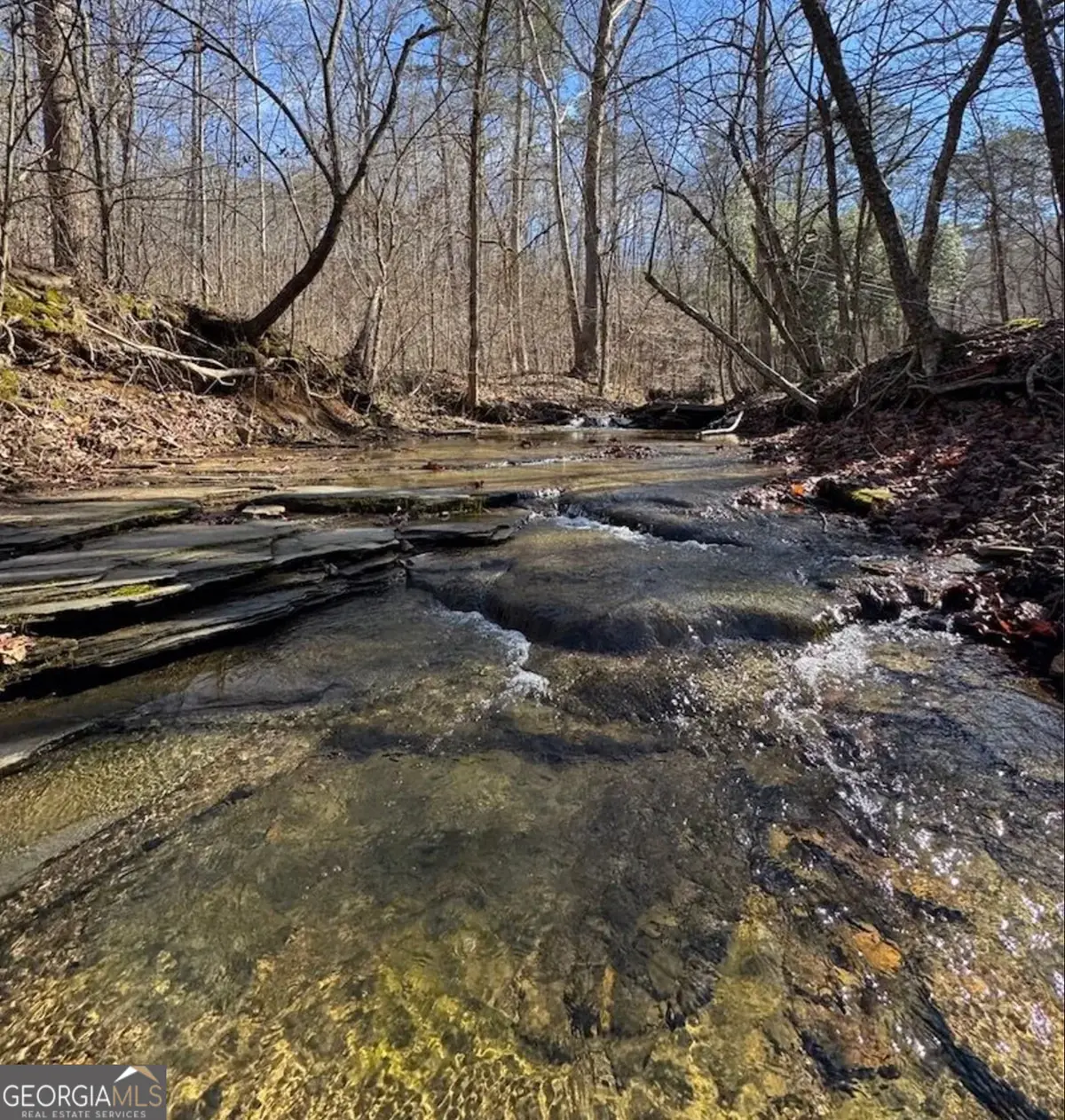 003 Rambling Road, Fairmount, GA 30139 - #1