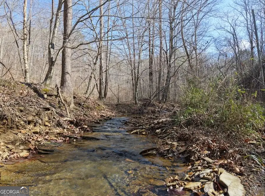 003 Rambling Road, Fairmount, GA 30139 - #2