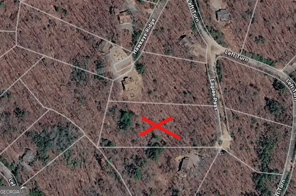 0 Eagle Pass #LOT 8, Blue Ridge, GA 30513