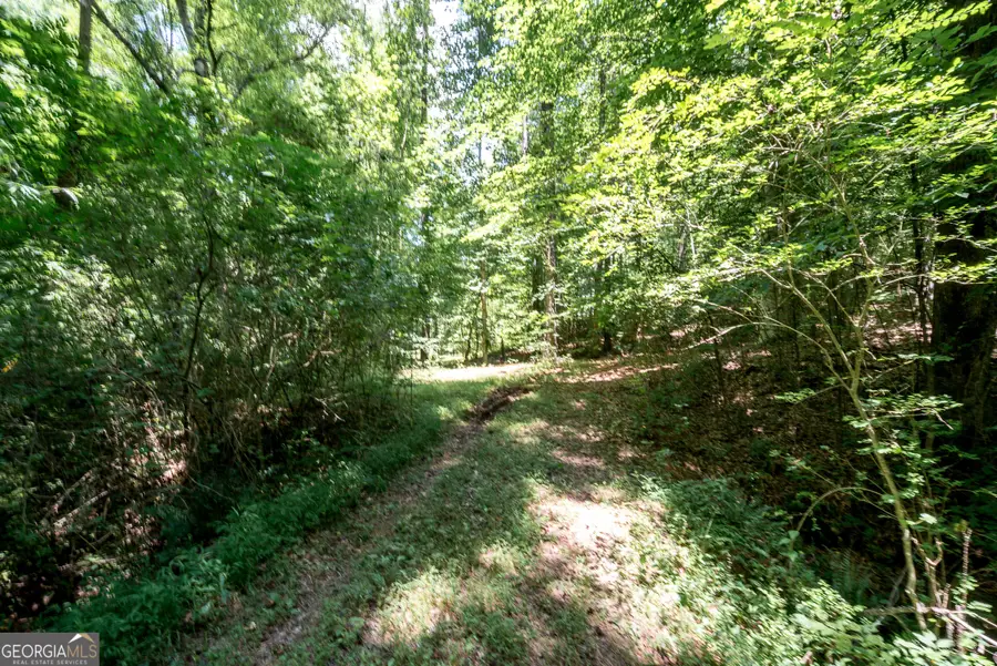 0 Wagers Mill Road #20+/- ACRES, Newnan, GA 30263 - #3