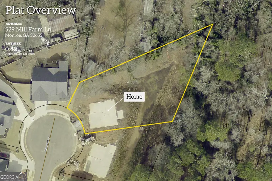 529 Mill Farm Lane, Monroe, GA 30655 - #3