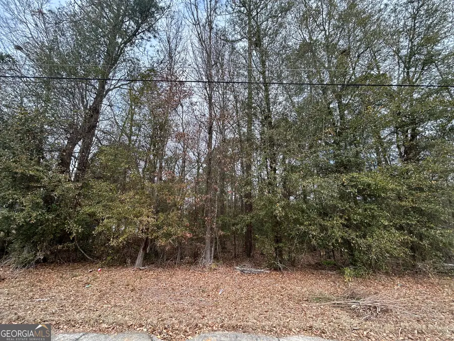 W Williams St, Montezuma, GA 31063 - #2