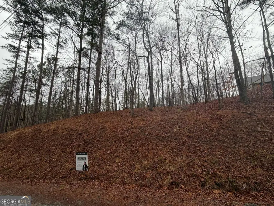 LOT 452 Joliet Drive, Ellijay, GA 30540 - #2