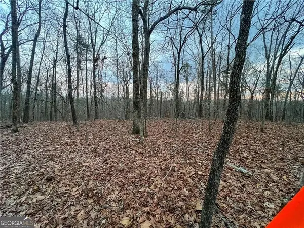 0 Kelly Bridge Road, Dawsonville, GA 30504