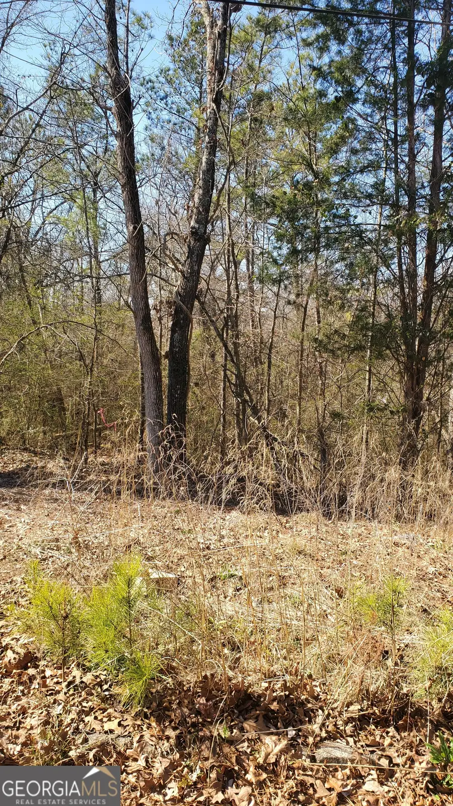 5090 Maltdie Court, Sugar Hill, GA 30518 - #2