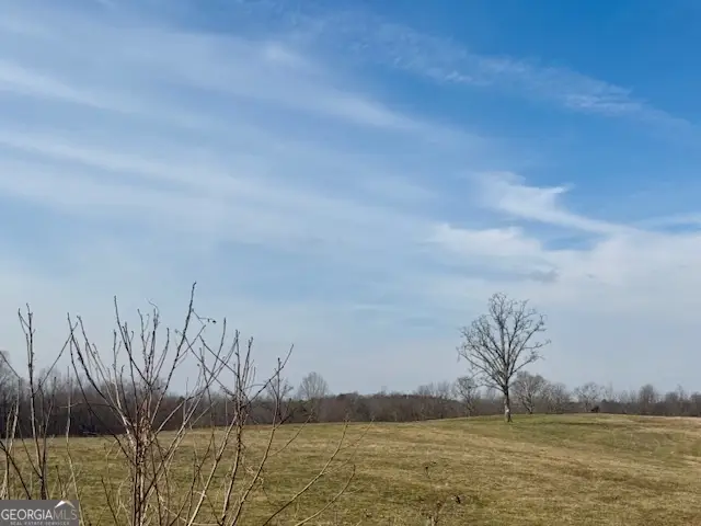 2245 Cheek Pulliam Road, Royston, GA 30662 - #3