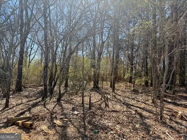 0 Mcdonough Parkway, McDonough, GA 30253