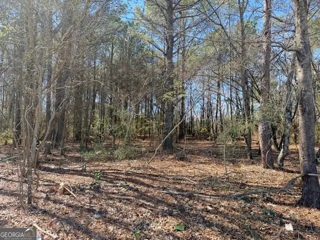 0 Mcdonough Parkway, McDonough, GA 30253 - #2