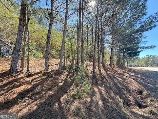 0 Mcdonough Parkway, McDonough, GA 30253 - #3