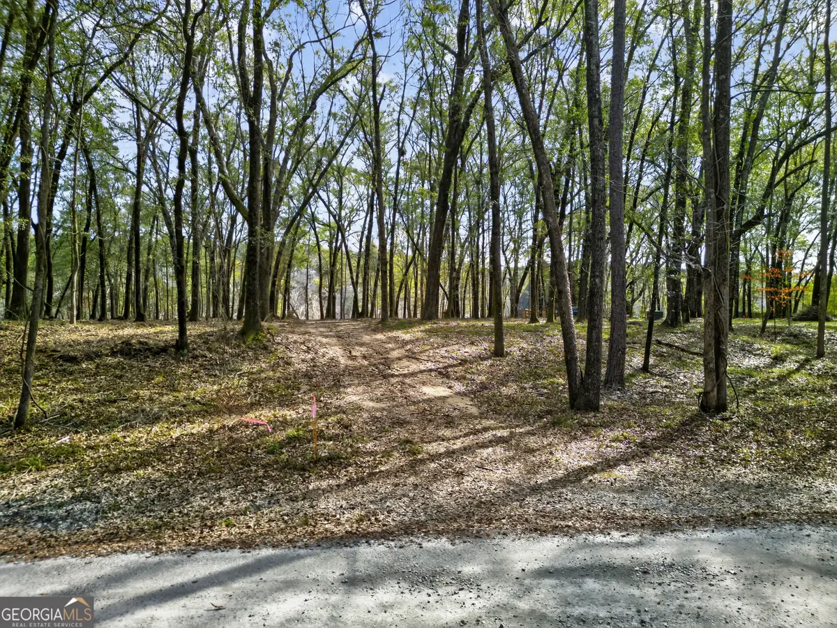 LOT 43 Rivermist Road, Juliette, GA 31046 - #1