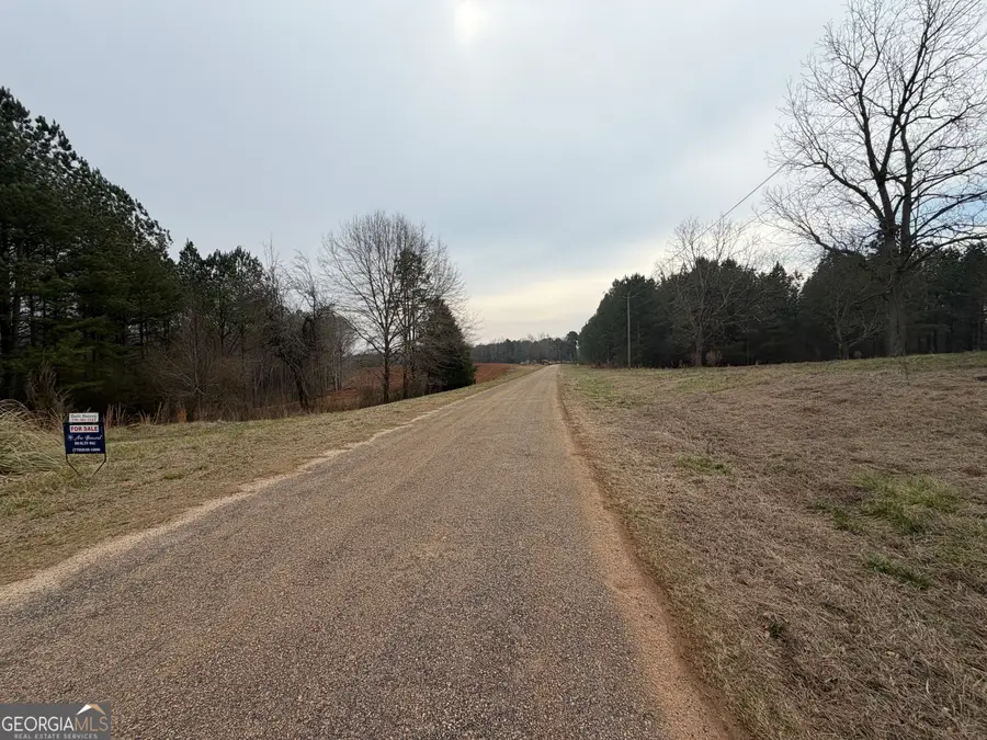 0 County Road 432 Lot 2 #L2, Woodland, AL 36280 - #3