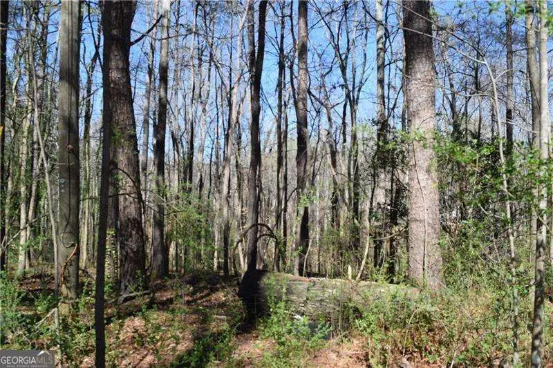 5425 Davis Drive, Austell, GA 30106 - #2