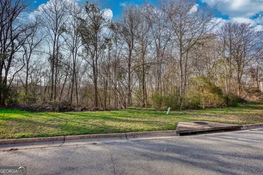 9135 Golfview Lane, Covington, GA 30014 - #3