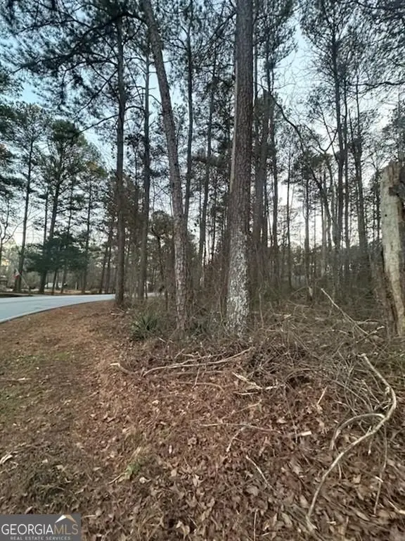 450 W Lake Drive, Oxford, GA 30054 - #2