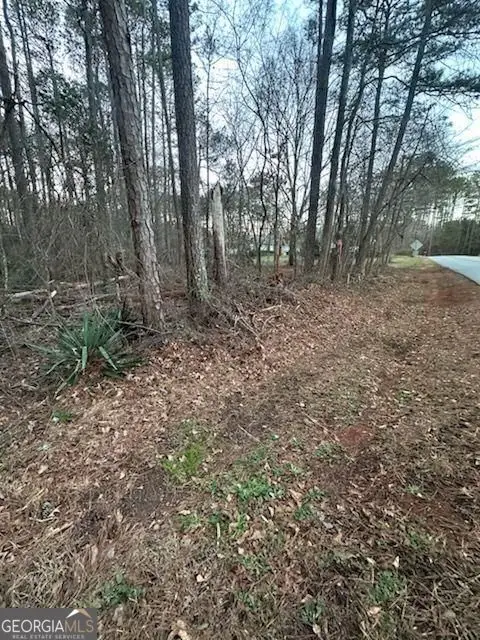 450 W Lake Drive, Oxford, GA 30054 - #3