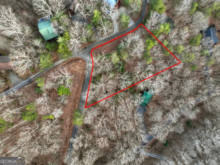 LT M57 Walnut Mountain Court, Ellijay, GA 30536 - #3