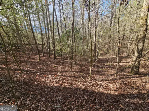 LOT 77 Roaring Forks Lane #77, Ellijay, GA 30540