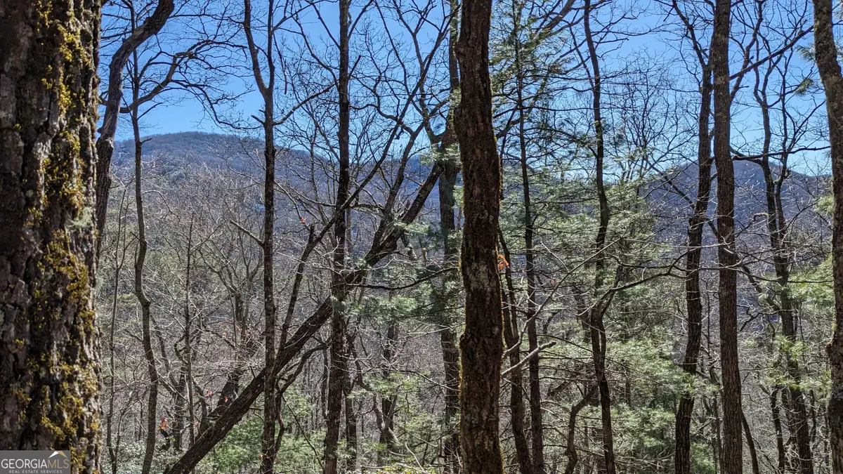 0 LOT 111 Ridgepole Drive Drive, Sky Valley, GA 30537 - #1