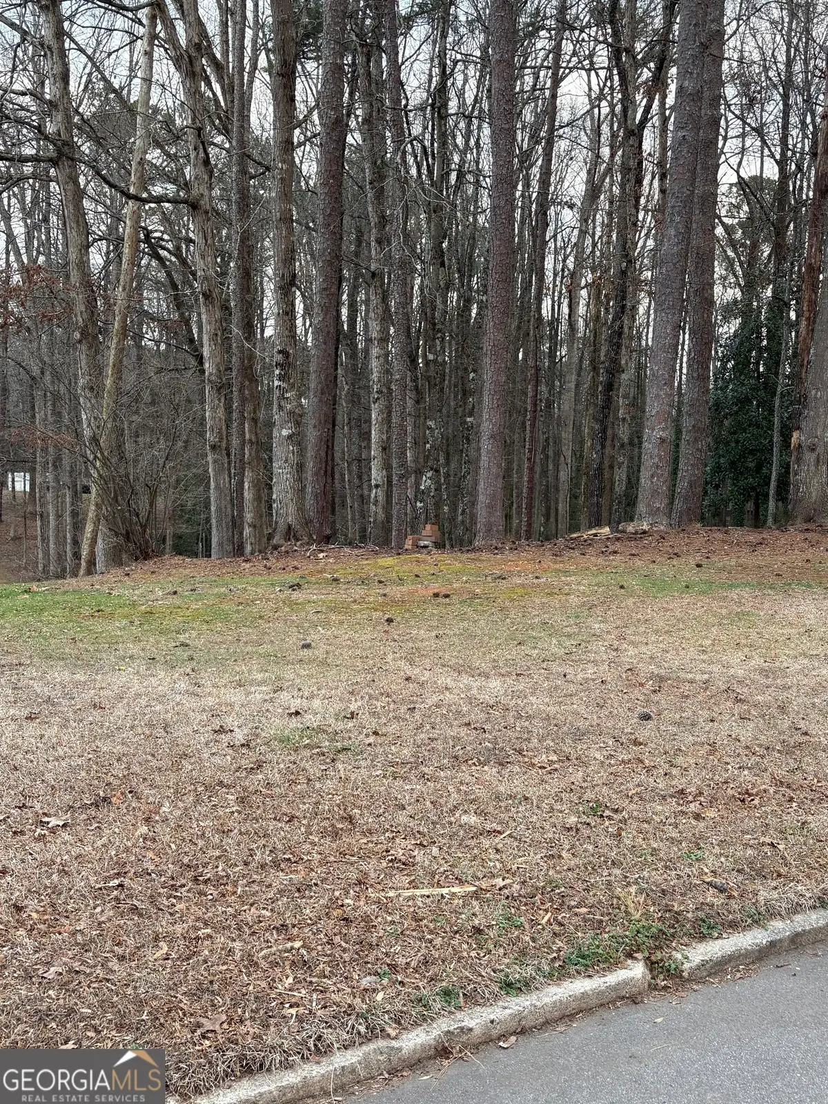 0 Azalea Drive, Fairburn, GA 30213 - #1