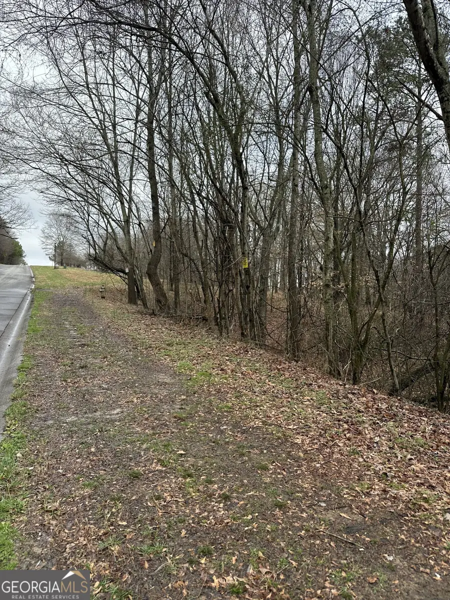 3462 Roy Parks Rd, Gainesville, GA 30507 - #3