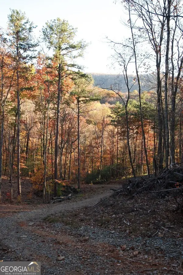 0 Paradise Lane, Blue Ridge, GA 30513