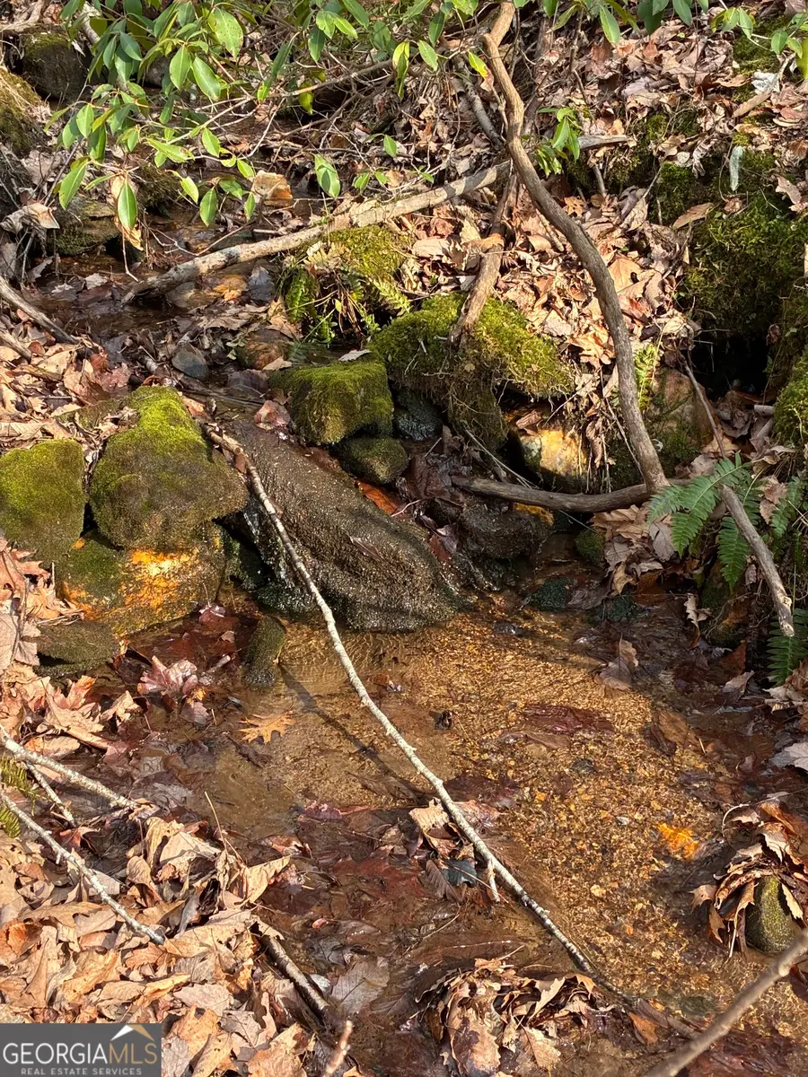 0 Paradise Lane, Blue Ridge, GA 30513 - #3