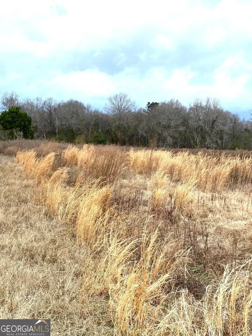 0 Allen Ranch Road, Chester, GA 31012 - #3