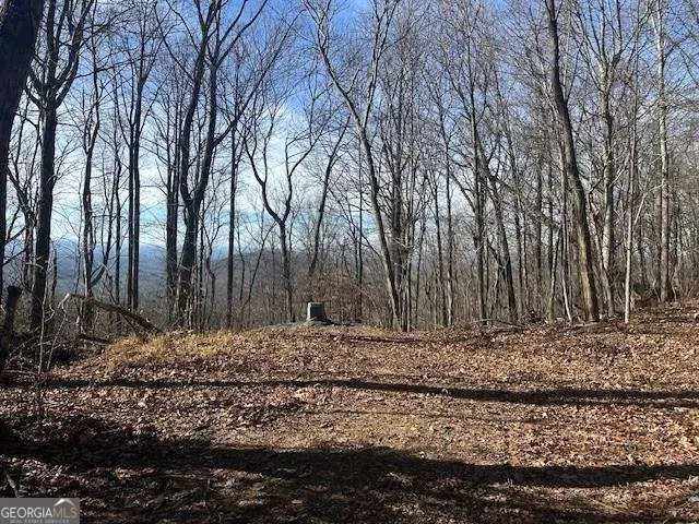 257 Andes Ridge, Jasper, GA 30143 - #2