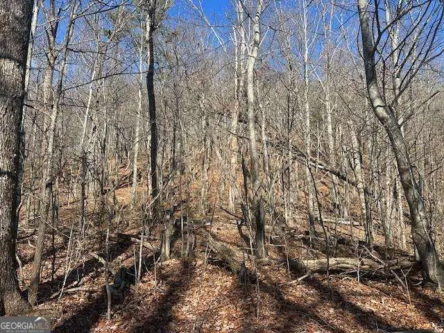 257 Andes Ridge, Jasper, GA 30143 - #3