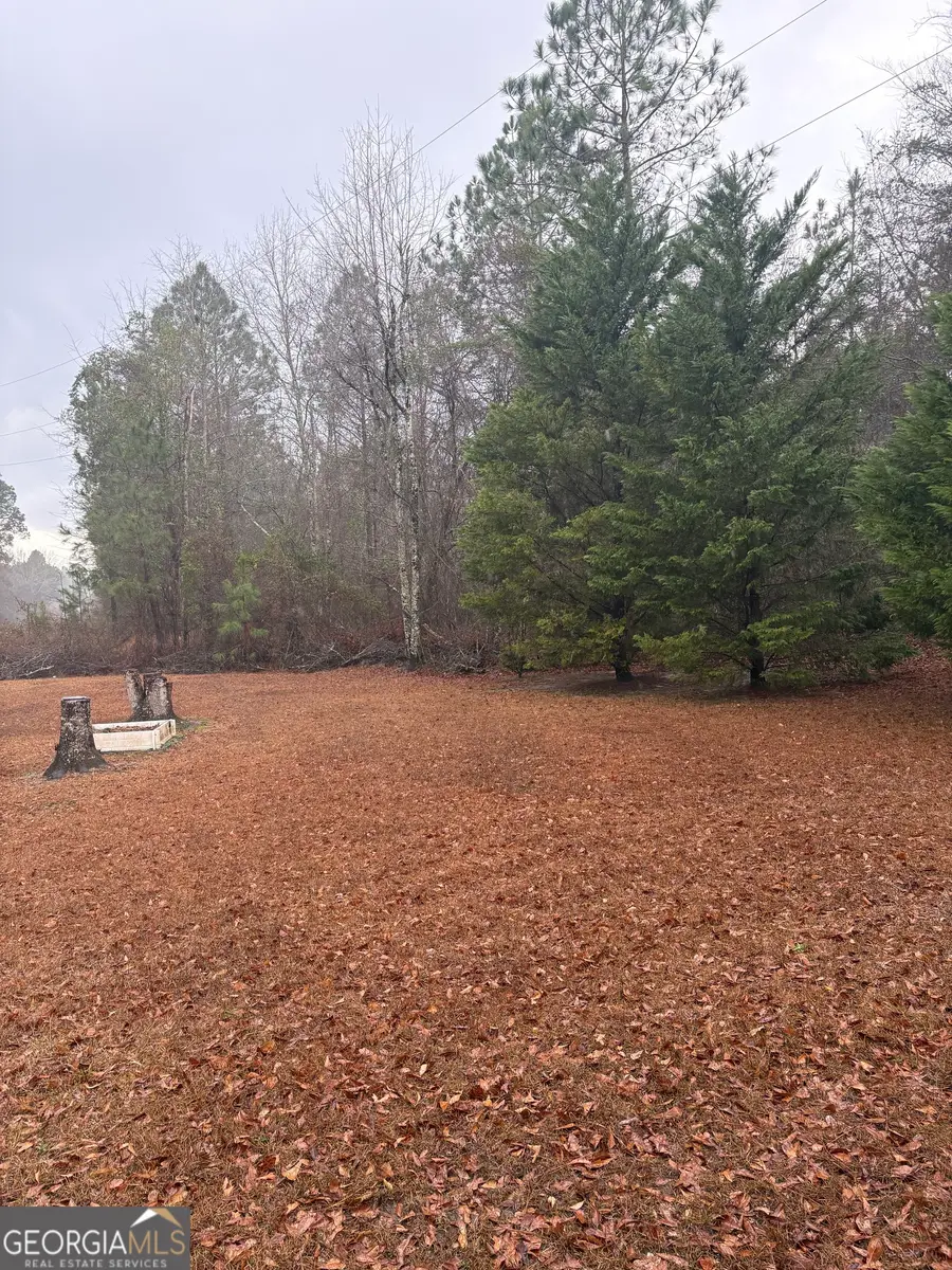 2648 Orphans Cemetery Road, Eastman, GA 31023 - #2