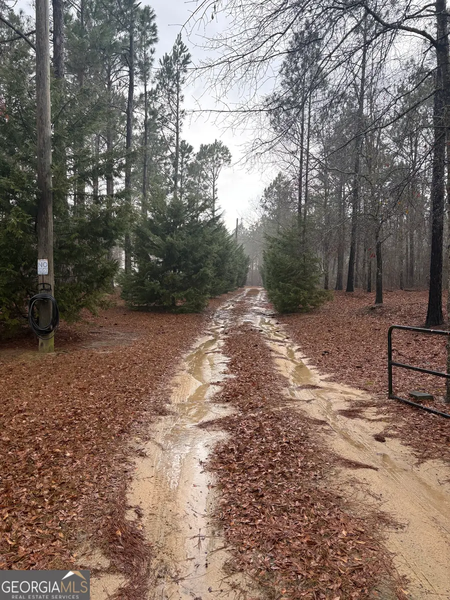 2648 Orphans Cemetery Road, Eastman, GA 31023 - #3