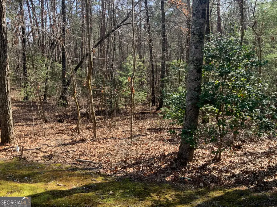 (3) Rizzitello Ln, Blairsville, GA 30512 - #2