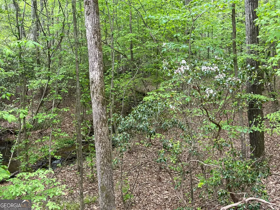 0 Everett Springs Road, Armuchee, GA 30105 - #3