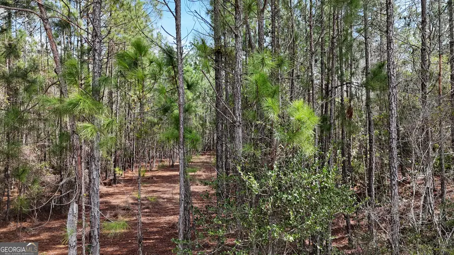 75 Lila Lane, Pembroke, GA 31321 - #2