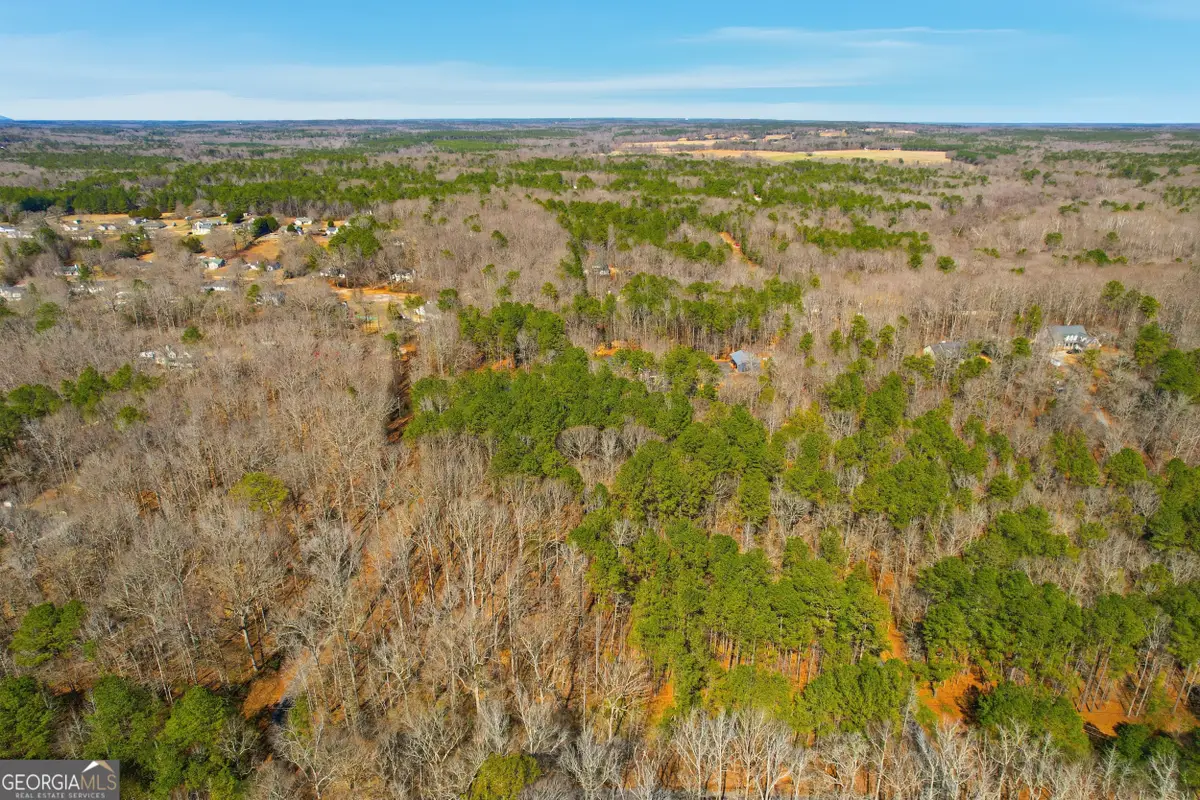 0 Pickett Bridge Rd, Covington, GA 30016 - #1