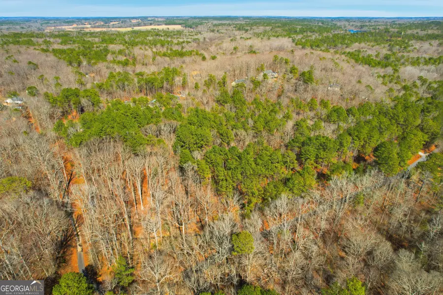 0 Pickett Bridge Rd, Covington, GA 30016 - #2