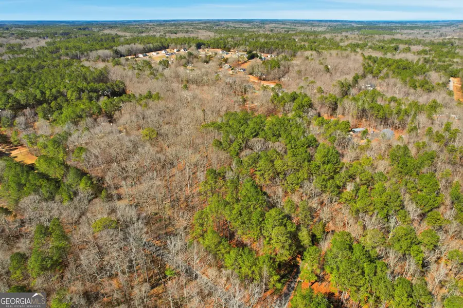 0 Pickett Bridge Rd, Covington, GA 30016 - #3