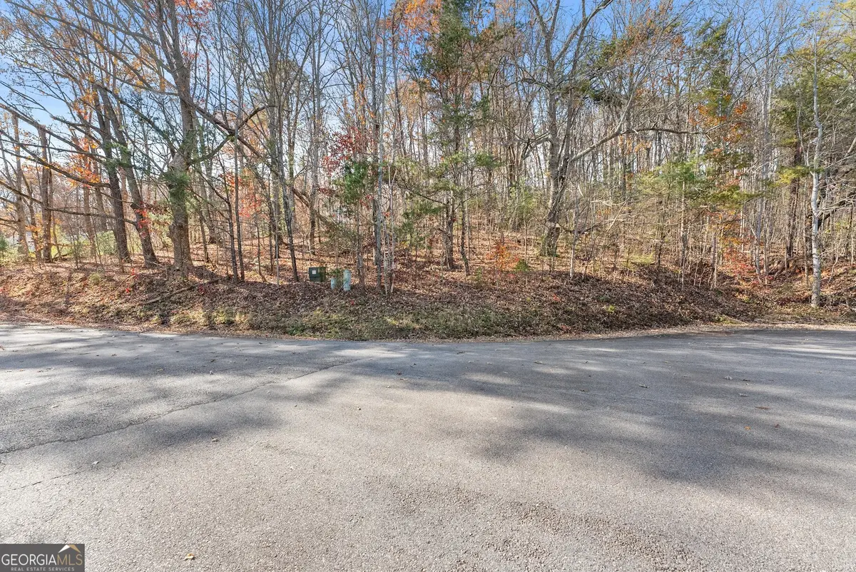 LOT 50 & 51 Meadow Crest Drive, Cleveland, GA 30528 - #1