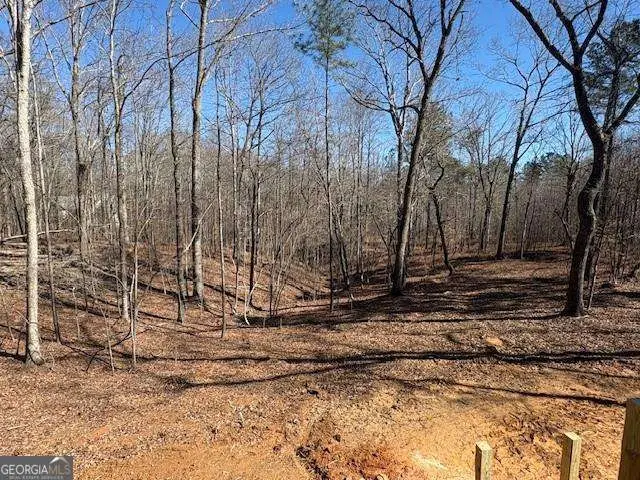 2081 Jerusalem Church Road, Jasper, GA 30143 - #3