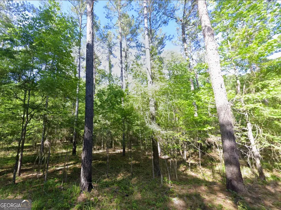 0 Lambert Lane, Sylvester, GA 31791 - #3