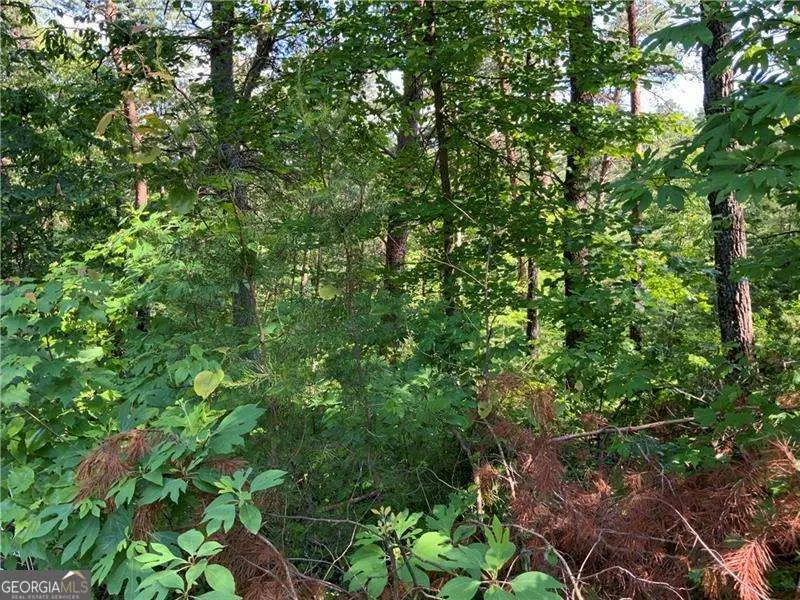 1335 Birch Lane, Ranger, GA 30734 - #3